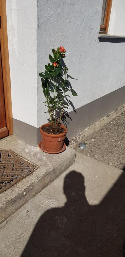 Ferienwohnung Natururlaub Muggenbrunn تودتناو المظهر الخارجي الصورة