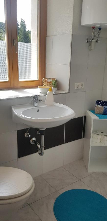 Ferienwohnung Natururlaub Muggenbrunn تودتناو المظهر الخارجي الصورة