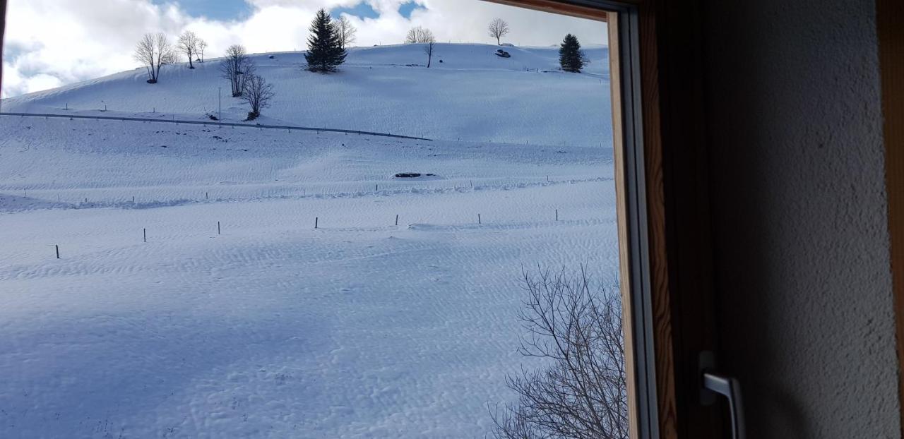 Ferienwohnung Natururlaub Muggenbrunn تودتناو المظهر الخارجي الصورة