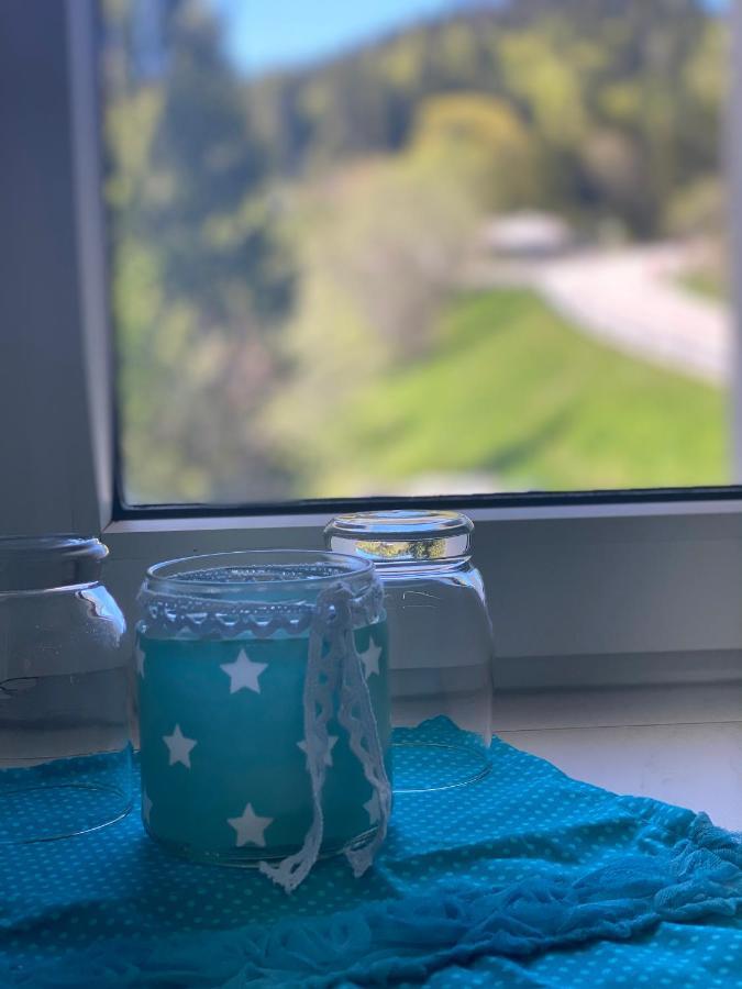 Ferienwohnung Natururlaub Muggenbrunn تودتناو المظهر الخارجي الصورة